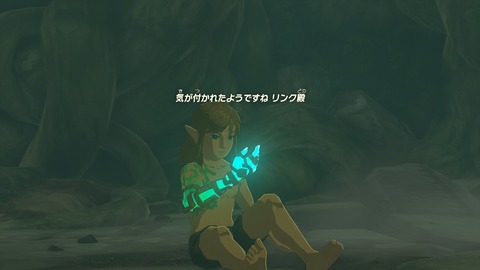 zelda35