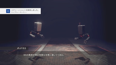 nier20