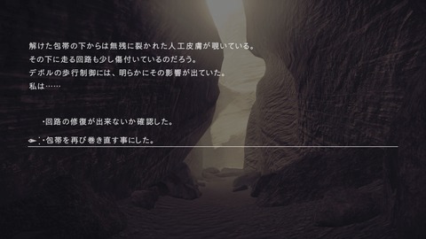 nier23