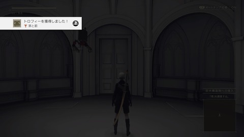 nier24