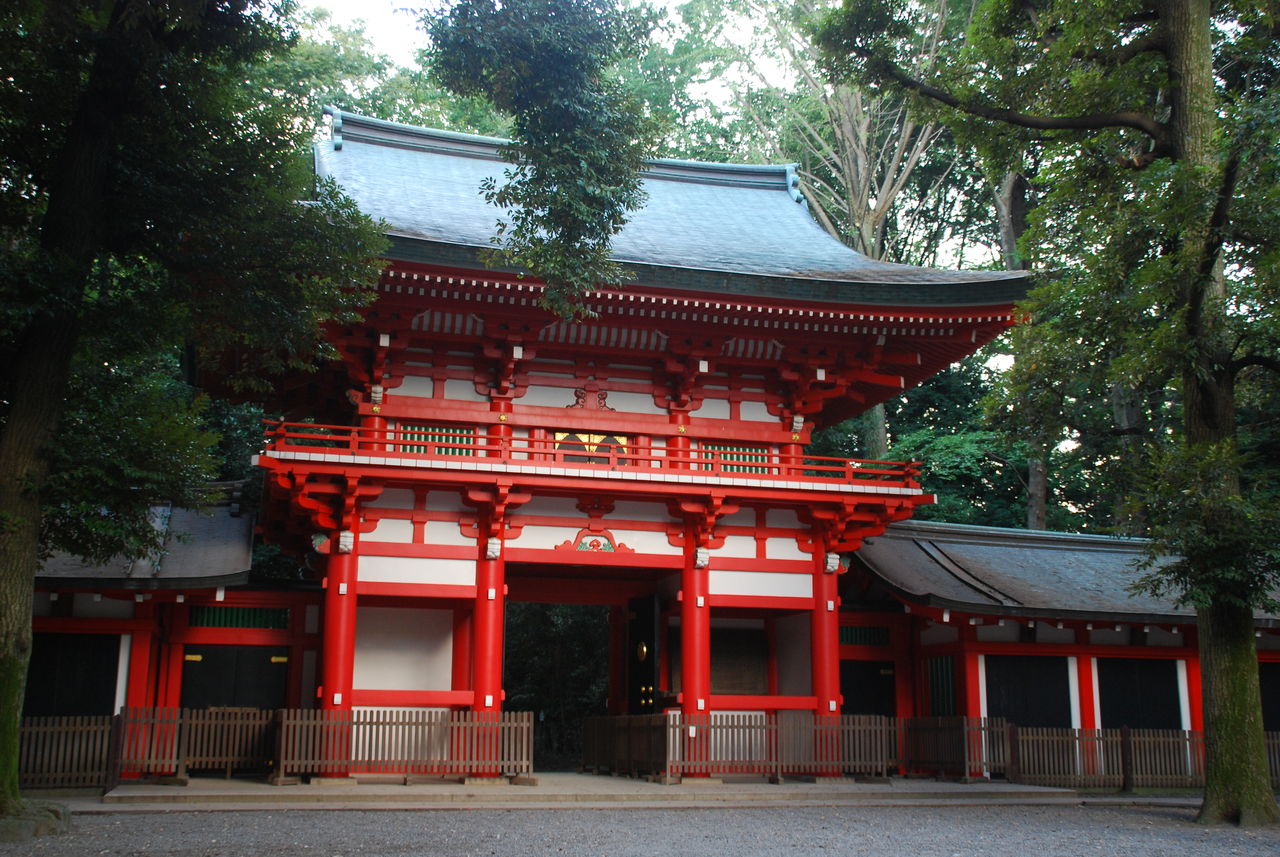 井草八幡宮 善福寺公園散歩 釣るのも 食べるのも大好き 魚好きオヤジの徒然日記