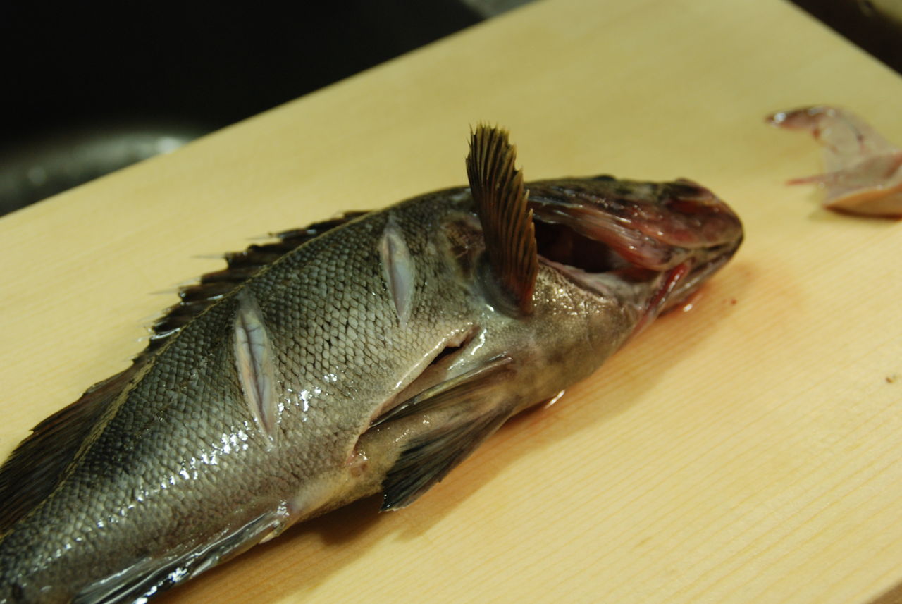 ソイの煮付け 釣るのも 食べるのも大好き 魚好きオヤジの徒然日記 ソイの煮付け 釣るのも 食べるのも大好き 魚好きオヤジの徒然日記