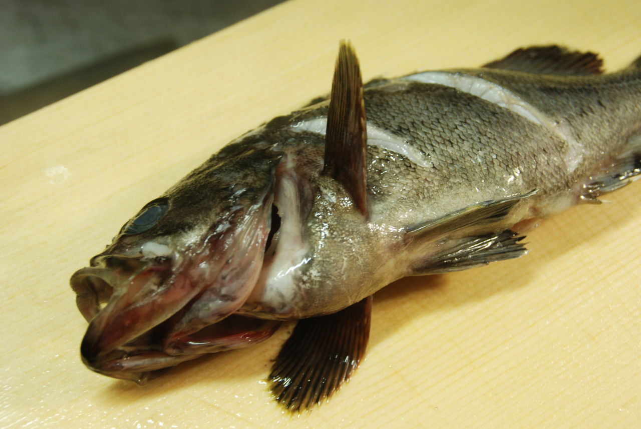 ソイの煮付け 釣るのも 食べるのも大好き 魚好きオヤジの徒然日記 ソイの煮付け 釣るのも 食べるのも大好き 魚好きオヤジの徒然日記