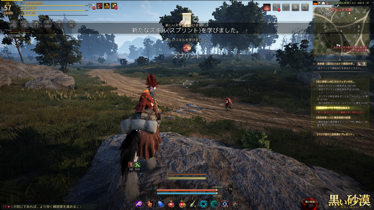 ジル クロ スコード ブログ 黒い砂漠 念願のスプリント しかし