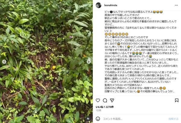 女優・広田レオナ、自宅に「クマ」出没を報告「庭の花壇が大きく潰されて」「80センチくらいでしょう」のアイキャッチ画像