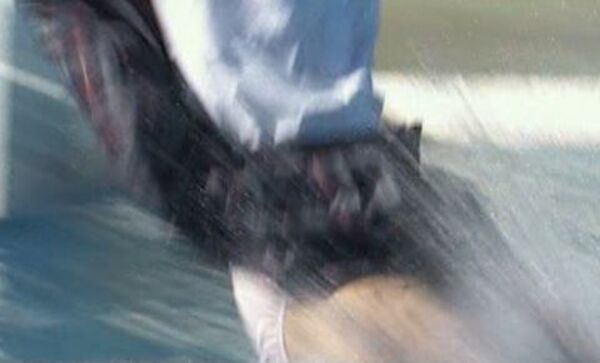 ezgif-2ac68fc0480dab