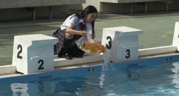 ezgif-2f60c7dafc2b58