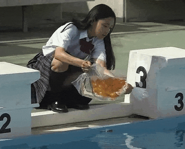 ezgif-61bab4d1f1321902