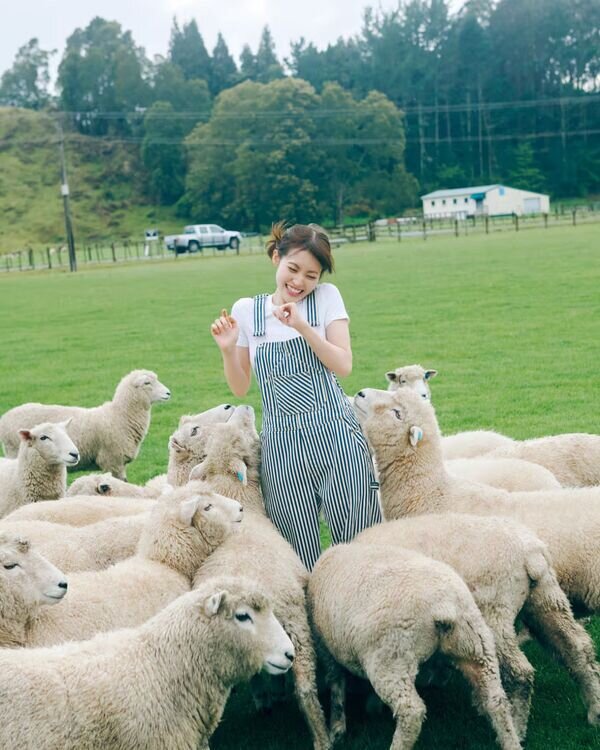 ezgif-1ad65b23f75b0fc3