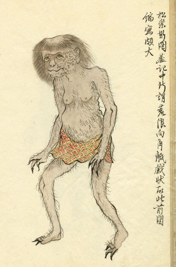 【画像】風俗嬢「こういう体型の客、ガチで無理」 1