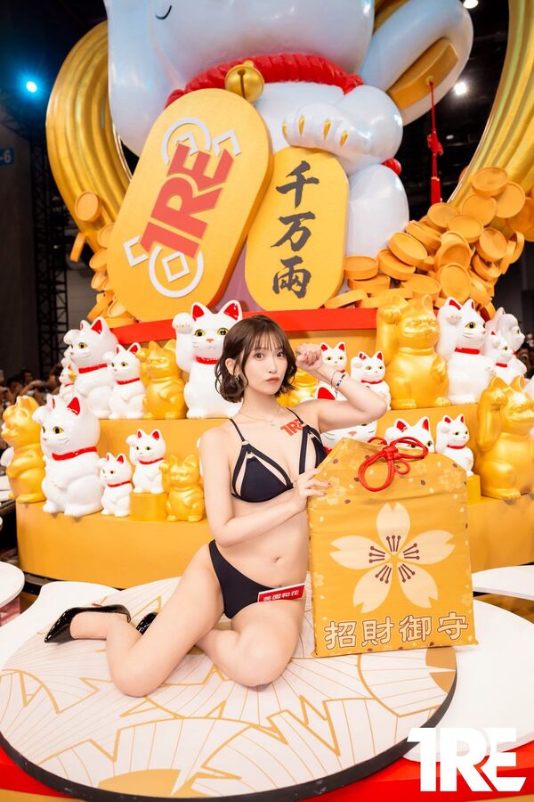 【GIF】日本の美女たち、台湾でまわされる 13