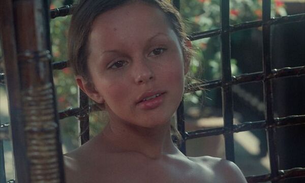 エマニエル夫人ってガキの頃スケベなイメージだったが今見るとそんなにいやらしくもないよな 4