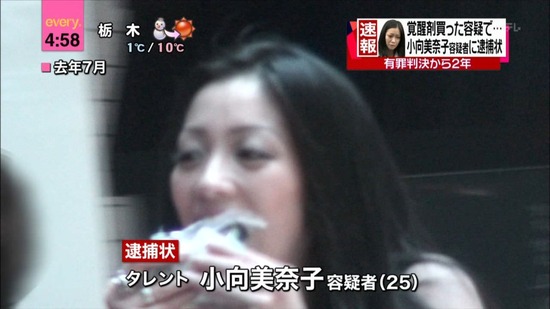【画像】小向美奈子以上に「AV堕ち」が当てはまる人物いない説 5