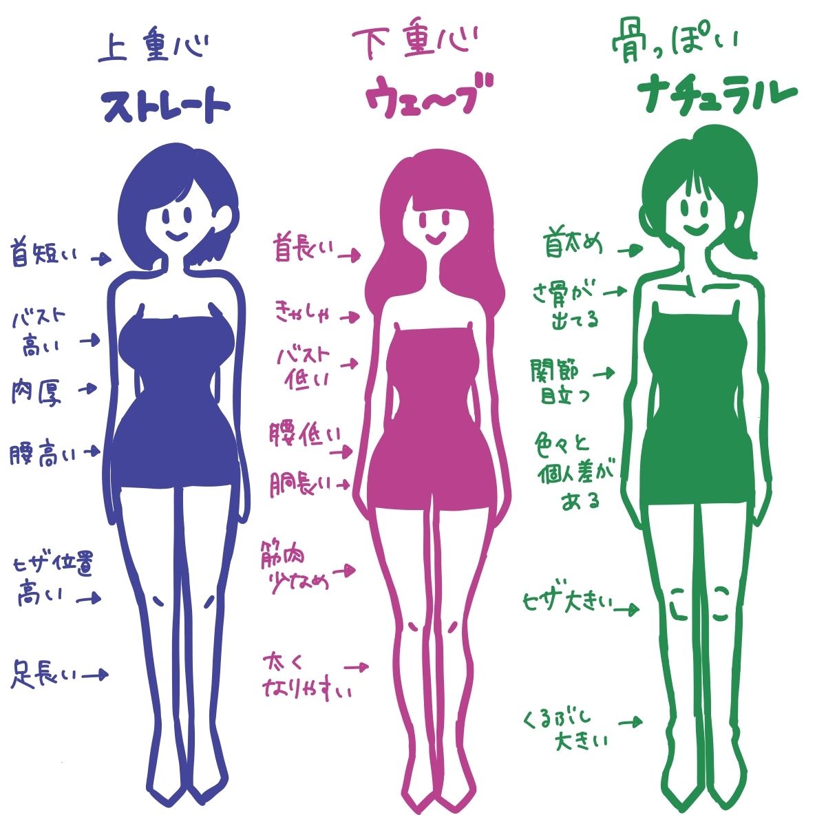 骨格 ストレート ウェーブ 骨格診断 ストレート ウエーブ ナチュラル3タイプ診断チェック表 骨格 ストレート ウェーブ 骨格診断 ストレート ウエーブ ナチュラル3タイプ診断チェック表