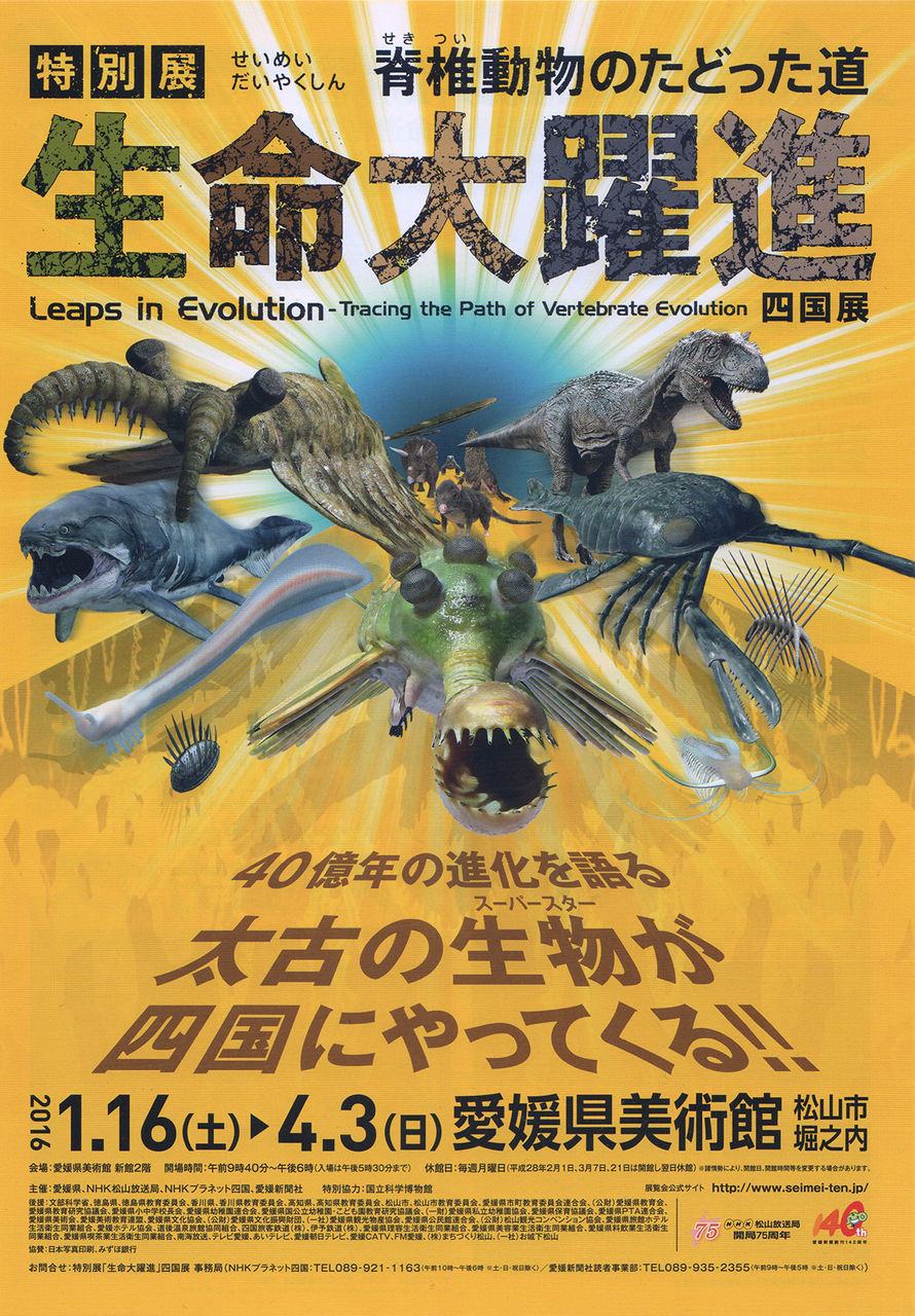 生命大躍進 Gecko 45thave