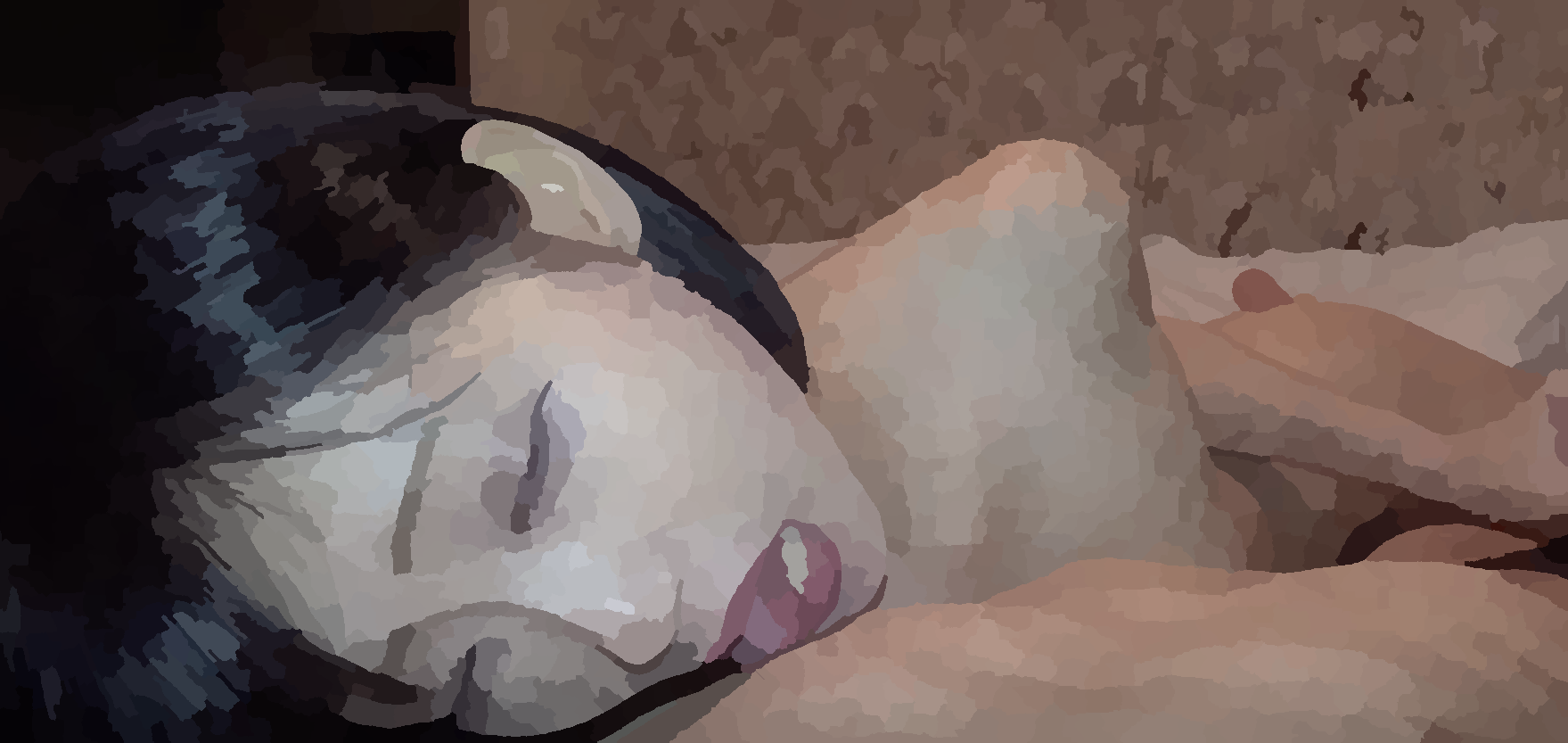 �����꡼�󥷥�å� 2022-08-12 5.55.50