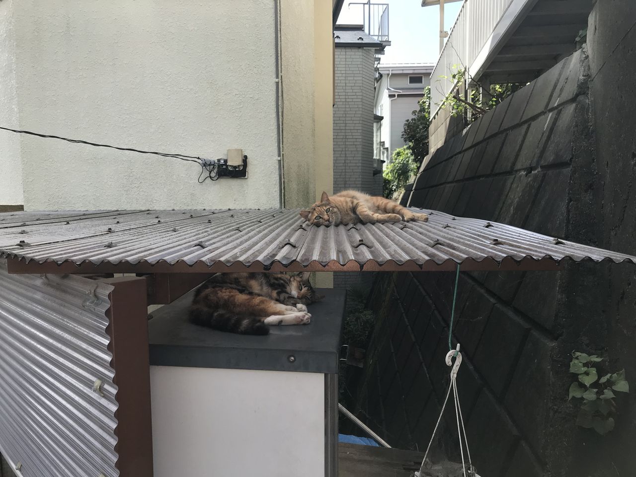 日をまたいで つりとも もうひとつの風景 日をまたいで つりとも もうひとつの風景