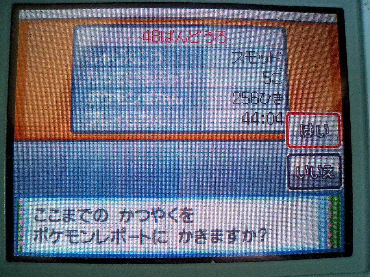 ゲーデンブログ タンバシティ サファリゲート そして