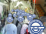 CIMG0855.jpg