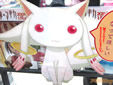 キュウべぇが契約、契約しつこい