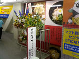 48c954f5.jpg