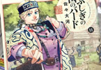 佐々大河「ふしぎの国のバード」11巻