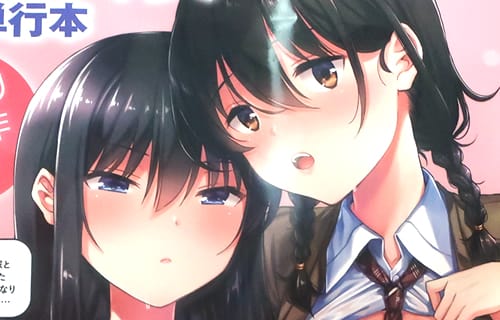 七宮つぐ実　お姉ちゃんも私も　「8年ぶり最新作！」「――わたしたち、開発済みです」