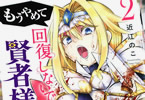 近江のこ「もうやめて回復しないで賢者様!」2巻