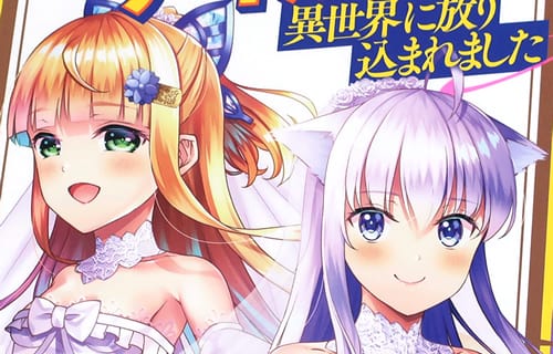 コミカライズ　神の手違いで死んだらチートガン積みで異世界に放り込まれました１０巻　「リリアを嫁の一員に迎え、熱い初夜」