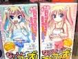 ないしょのついんてーるず