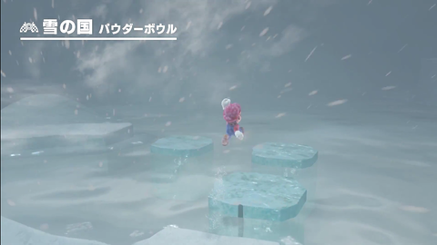 マリオオデッセイ パウダーボウル