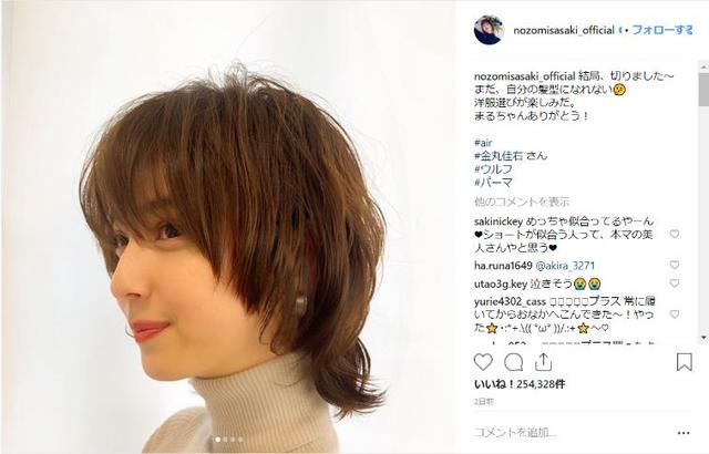 芸能 佐々木希 31 ショートの新髪型に賛否両論 一気に老けた 長い方が良かった