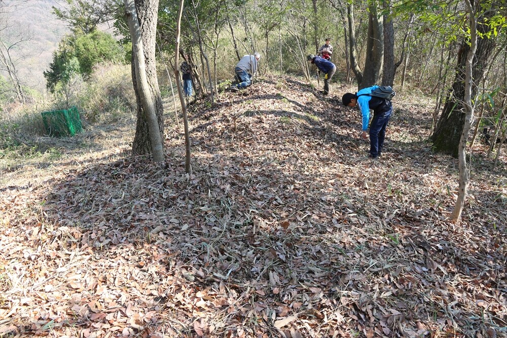 平野地区で全国最小級の前方後円墳発見!! ~「名越西古墳 平野地区で全国最小級の前方後円墳発見!! ~「名越西古墳