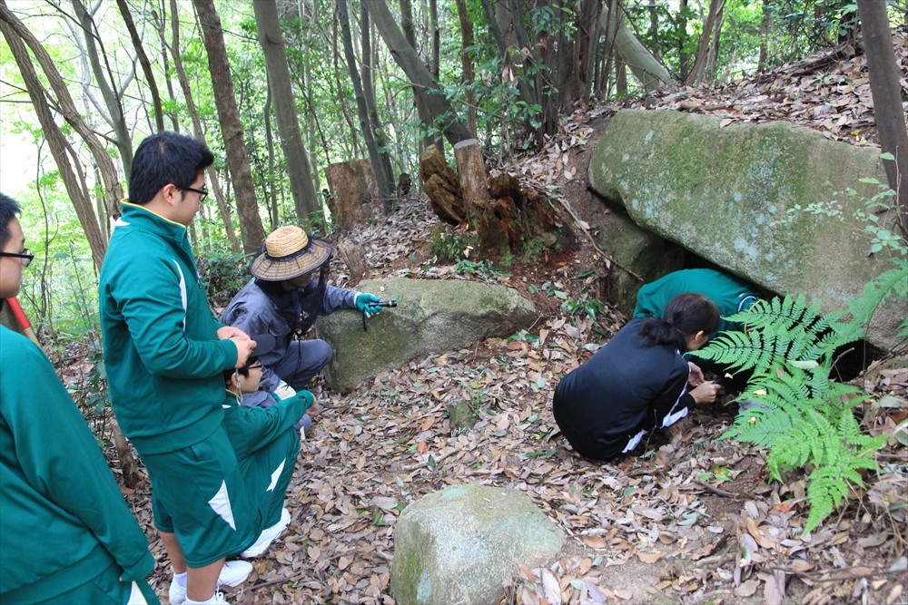 17年 秋の御領山ガイド 御領の古代ロマンを蘇らせる会 17年 秋の御領山ガイド 御領の古代ロマンを蘇らせる会