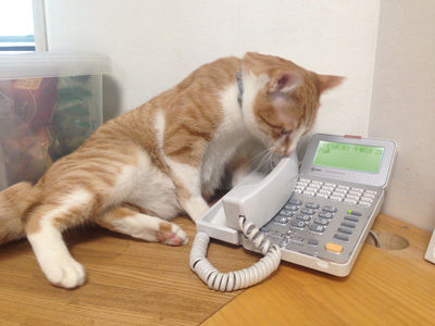 o0400030013261295883
