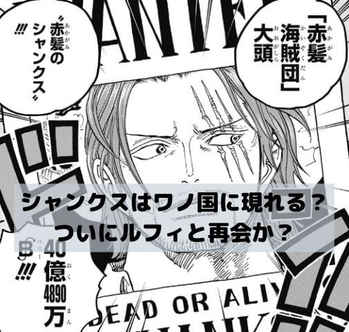 シャンクス 安いもんだ ゴムゴムの実が 無事でよかった 芸能dx全集中まとめちゃんねる