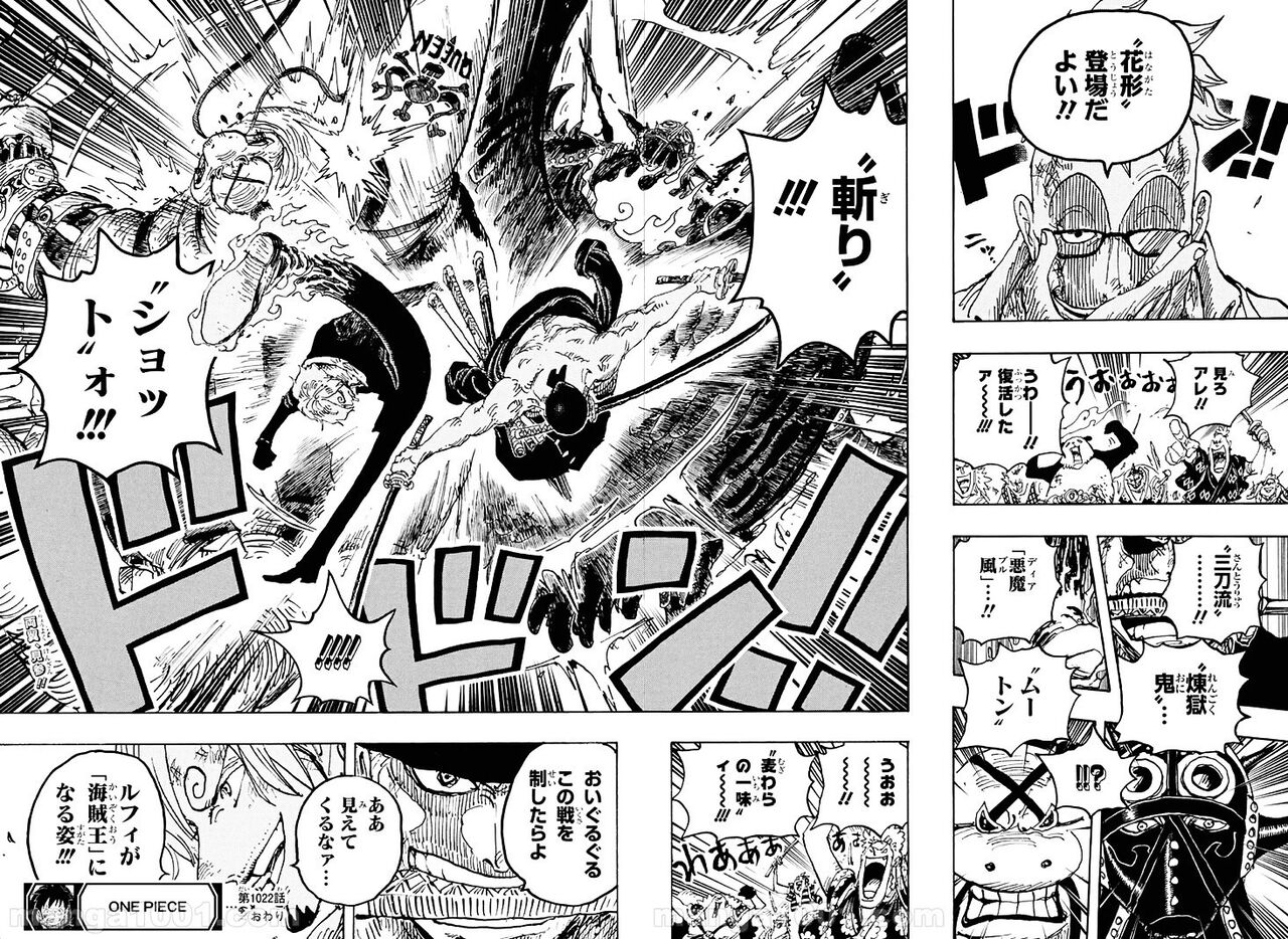 朗報 なんｊ ワンピースが語れるようになるｗｗｗｗｗｗｗｗｗｗｗｗ 芸能dx全集中まとめちゃんねる