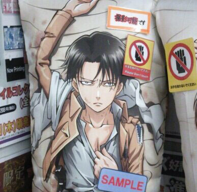 悲報 リヴァイ兵長 アッカーマンの力も失い障害者と化してしまう 芸能dx全集中まとめちゃんねる