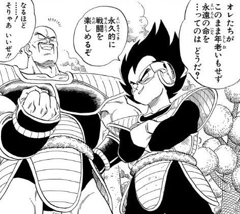 vegeta×nappa_1