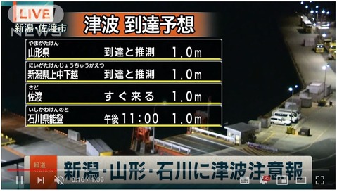 niigata live