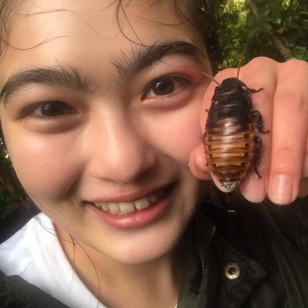 衝撃 ゴキブリ美味しい エビの匂いがする 井上咲楽の野生児ぶりに悲鳴 芸能リアルタイムのblog