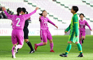 第２９回全日本高校女子サッカー決勝 藤枝順心 岡山県作陽 勝利の行く末は 皆が知りたい芸能まとめ