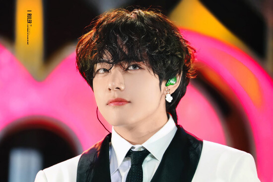 Bts 男の憧れの顔 V テテの寝る時の枕が なんと普通ではない物を使っていた カサネあんてな 最新のおすすめまとめアンテナサイト