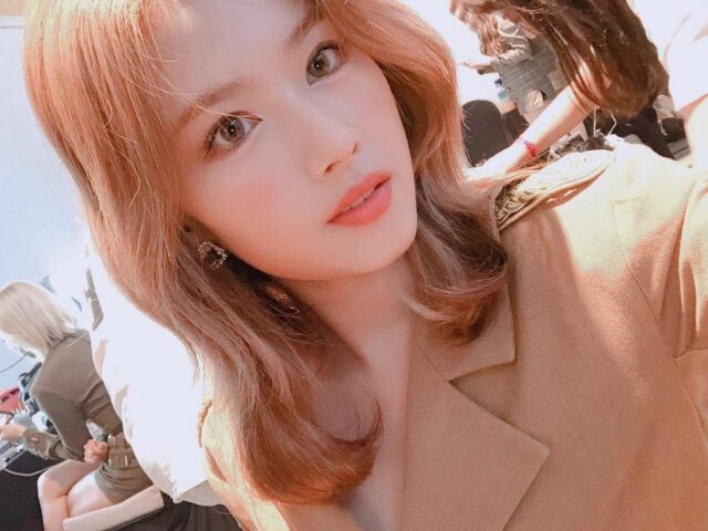 宮脇咲良はなぜ売れたのか Twiceサナと並ぶ人気 典型的日本美女 お弁当作ってくれそう Etc 皆が知りたい芸能まとめ