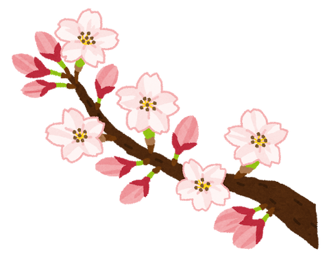 春に聴きたい「桜ソング」ランキング！3位 さくら（ケツメイシ）、2位 桜坂（福山雅治）、1位に選ばれたのは