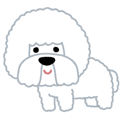 dog_Bichon_Frise