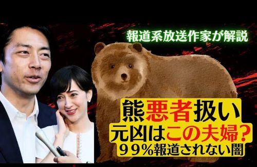 【熊被害報道の闇】太陽光利権で生態系破壊「熊も被害者」 元凶は小泉進次郎と妻？ マスゴミはまたも隠蔽　報道系放送作家が解説