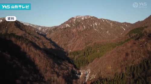 小国町クマ駆除中の誤射事故｜町が補償金1660万円を誤射の男性に請求へ