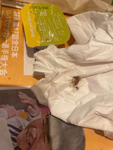 【グラコロにゴキブリ混入?】客「まだ生きていた」 購入店舗に申し出ずXに投稿 運営側「お客様から現物をお預かりできていない」 ネット「胡散臭いな」