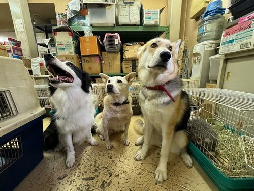 【犬猫８０匹行方不明】神奈川県警「あり得ないことが起きている」　愛護団体の男性が県を提訴「生死さえ教えてもらえない」